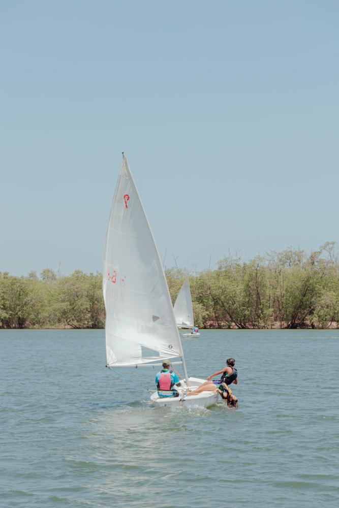 Veleiro de vela branca próximo ao mangue